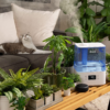 Ultrasonic Smart Top Fill Humidifier